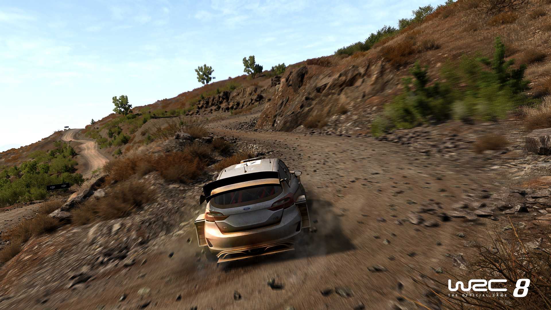 WRC 8 Switch