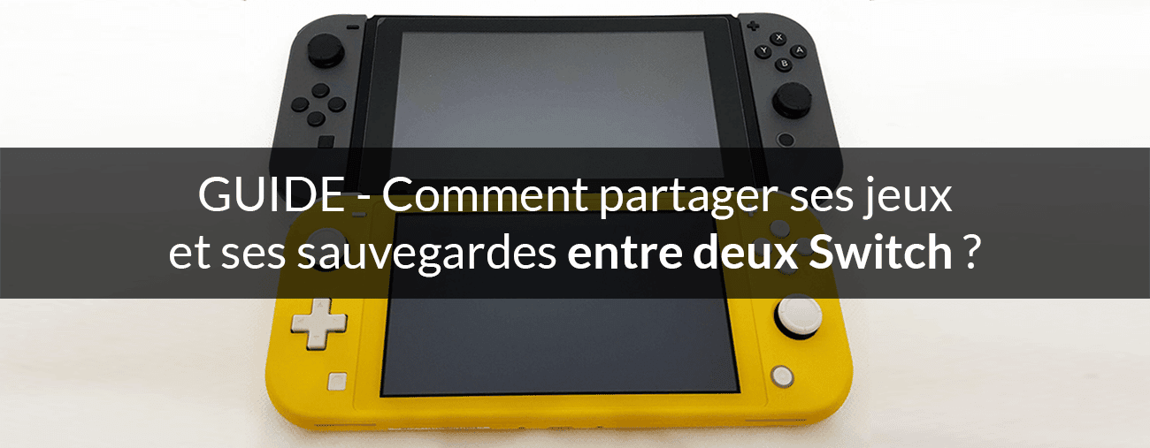 partage deux switch Lite