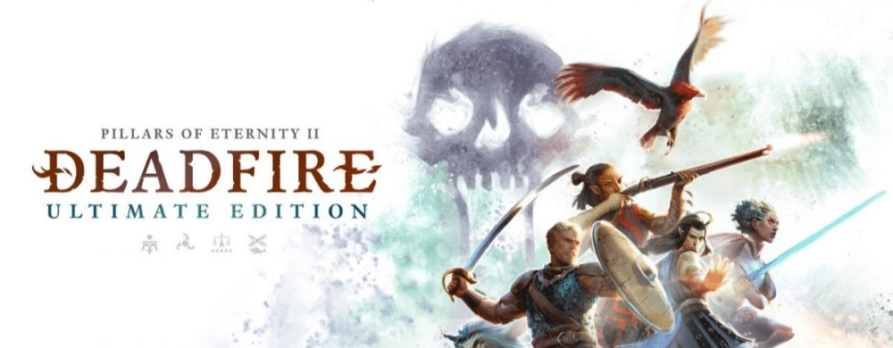 Pillars of Eternity 2: Deadfire toujours prévu sur Switch