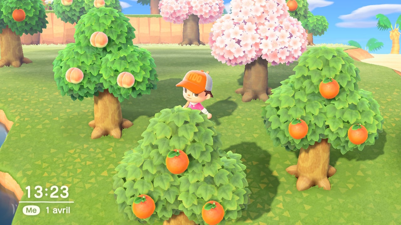 Animal Crossing fruits argent