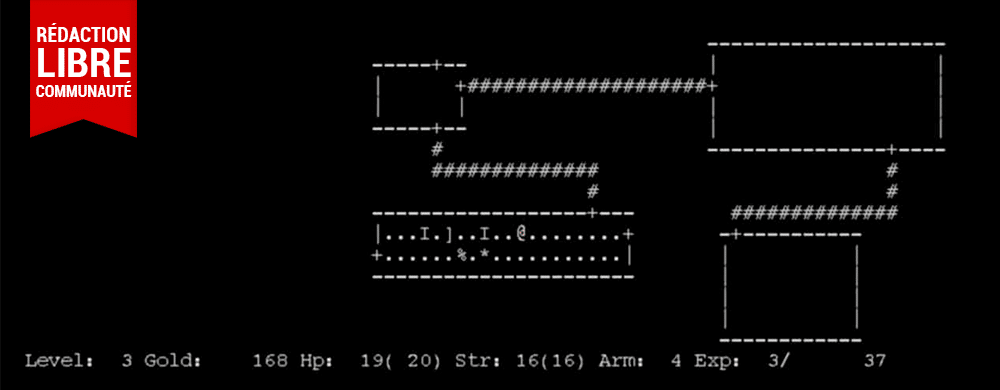 rogue like redaction libre switch-actu