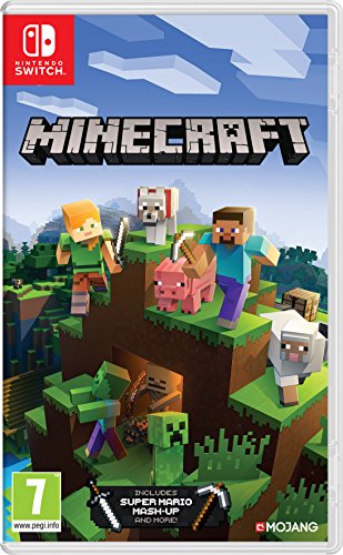 Minecraft switch standard