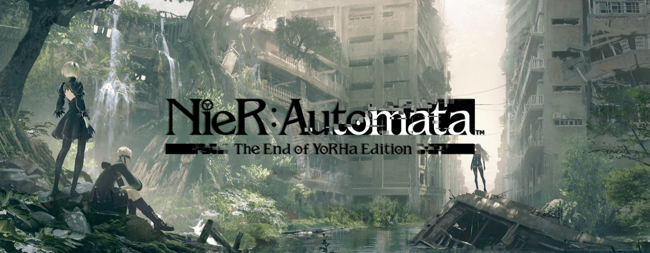 NieR Automata Switch Test