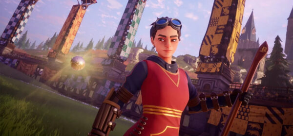 Harry Potter Champions de Quidditch