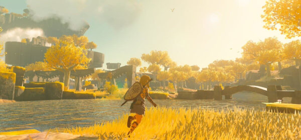 zelda totk switch jeu solo