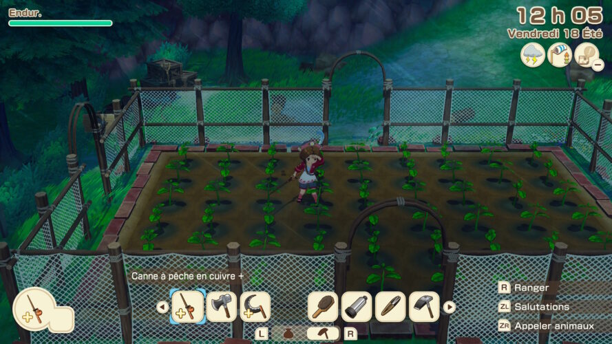 story of seasons grand bazaar switch 2 test 1