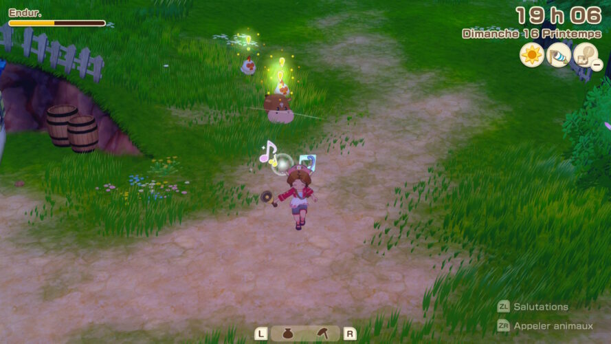 story of seasons grand bazaar switch 2 test 10