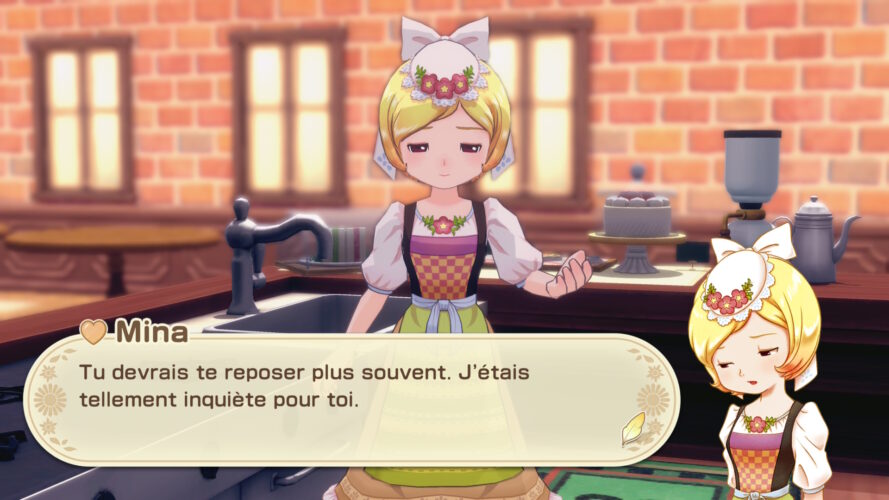 story of seasons grand bazaar switch 2 test 11