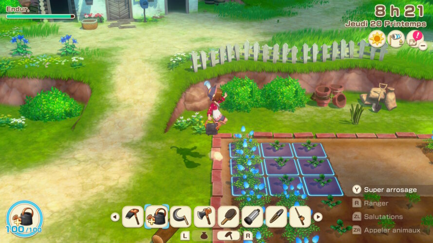 story of seasons grand bazaar switch 2 test 8