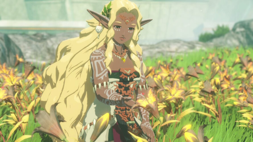 Hyrule Warriors: Les Chroniques du Sceau