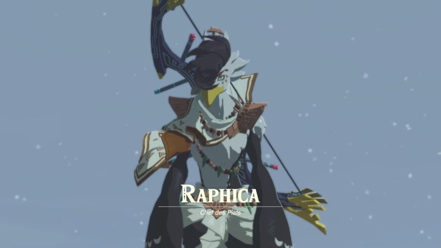 Hyrule Warriors: Les Chroniques du Sceau 6