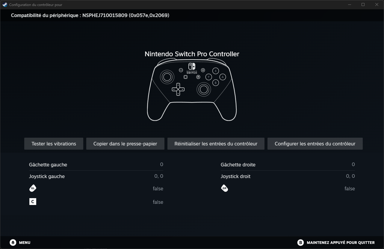 Capture d'écran de la configuration sur Steam