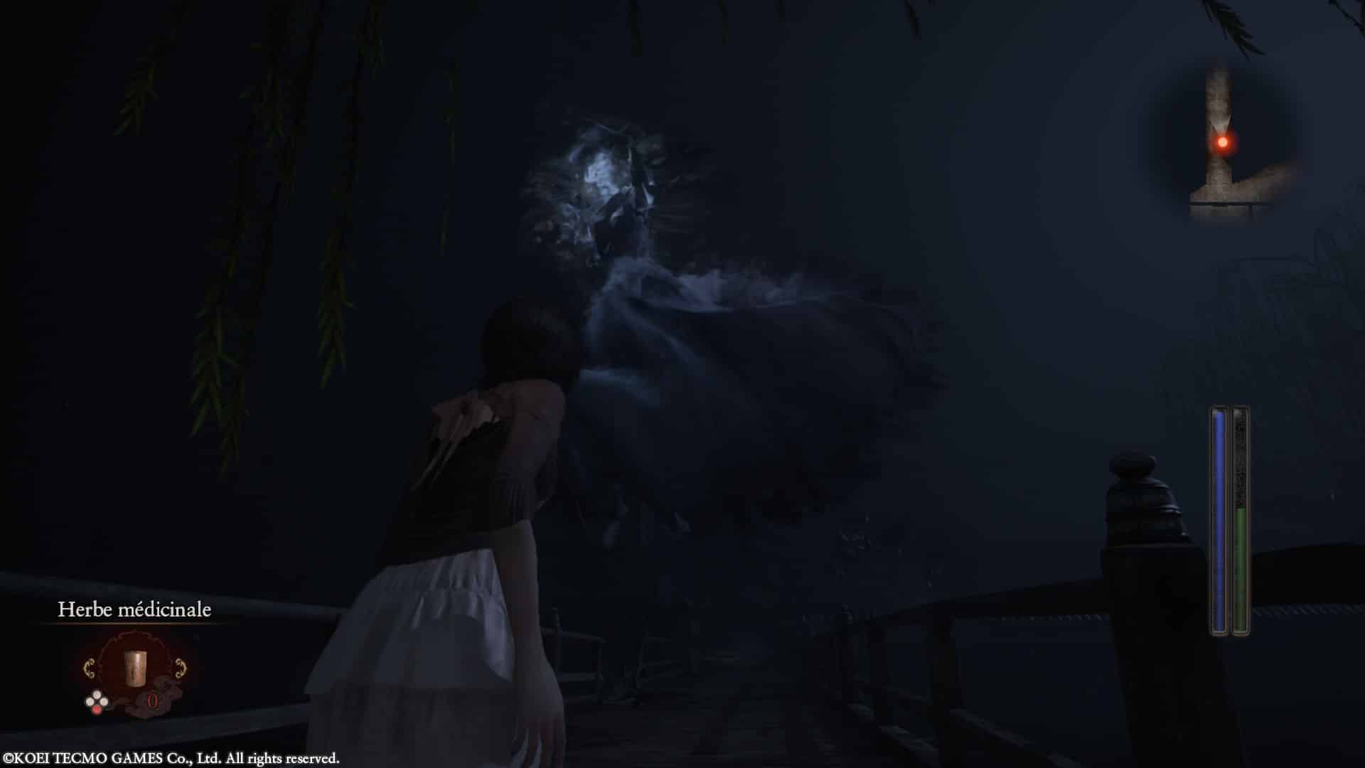 Fatal_Frame_2_Crimson_Butterfly_Remake_Switch 2_