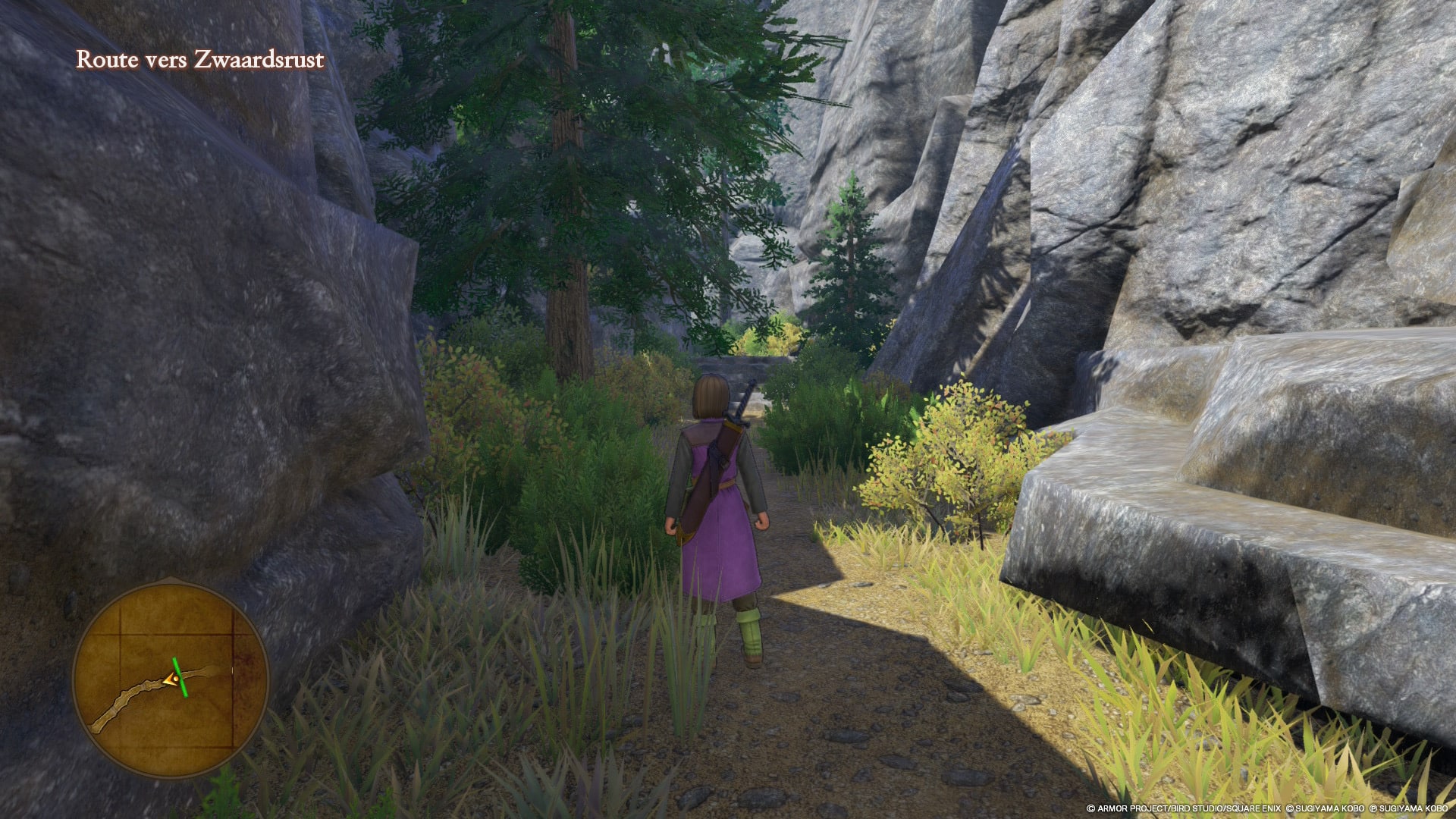 Dragon Quest XI S Switch 2 Test